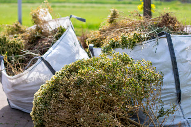  Capac, MI Junk Removal Pros